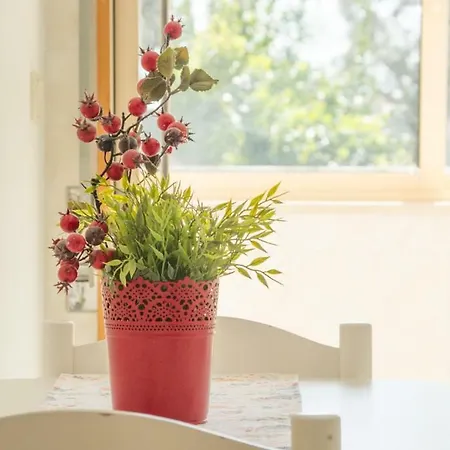 Terrace Downtown Appartement