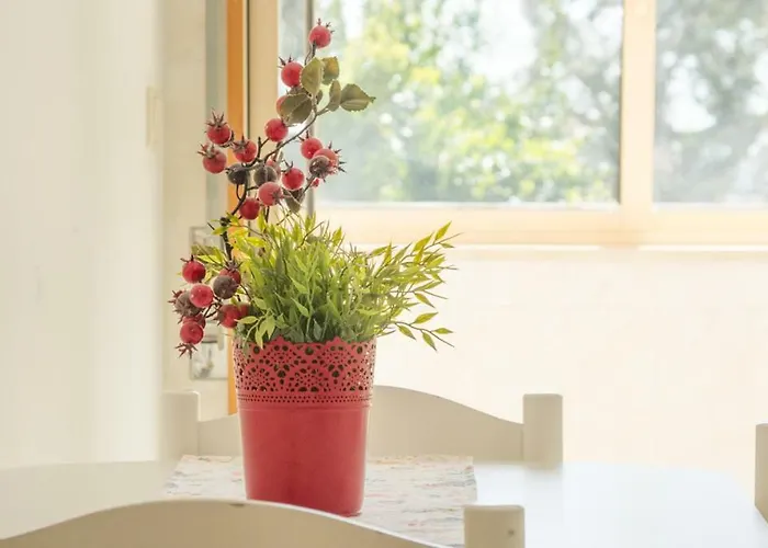 Terrace Downtown Appartement